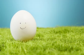 Happy egg on fake green grass.-min